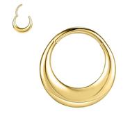 ZS 16G Segment Septum Nasenringe für Damen Herren, 8mm 10mm Edelstahl Clicker Knorpel Ohrringe Hoop Teardrop Rook Helix Piercing Schmuck (Gold-8mm)