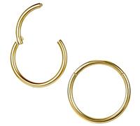 ZS 2 Stück ASTM F136 Titan 6/7/8/9/10/12/14mm Knorpel Tragus Helix Ohrring Hoop 20G 18G 16G Lippenringe Nasenringe Septum Conch Piercings Schmuck (18g/Gold/6mm)