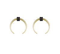 ZS Septum-Ringe, 2 G, 4G, 6G, 8G, 10G, 14G, 16G, Büffel, Hufeisen, Dehner, Expander zum Dehnen von durchbohrten Nasen und Ohren, für Damen und Herren, 2 Stück, Edelstahl, Kein Edelstein