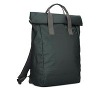 zwei Benno BE260 Pine 